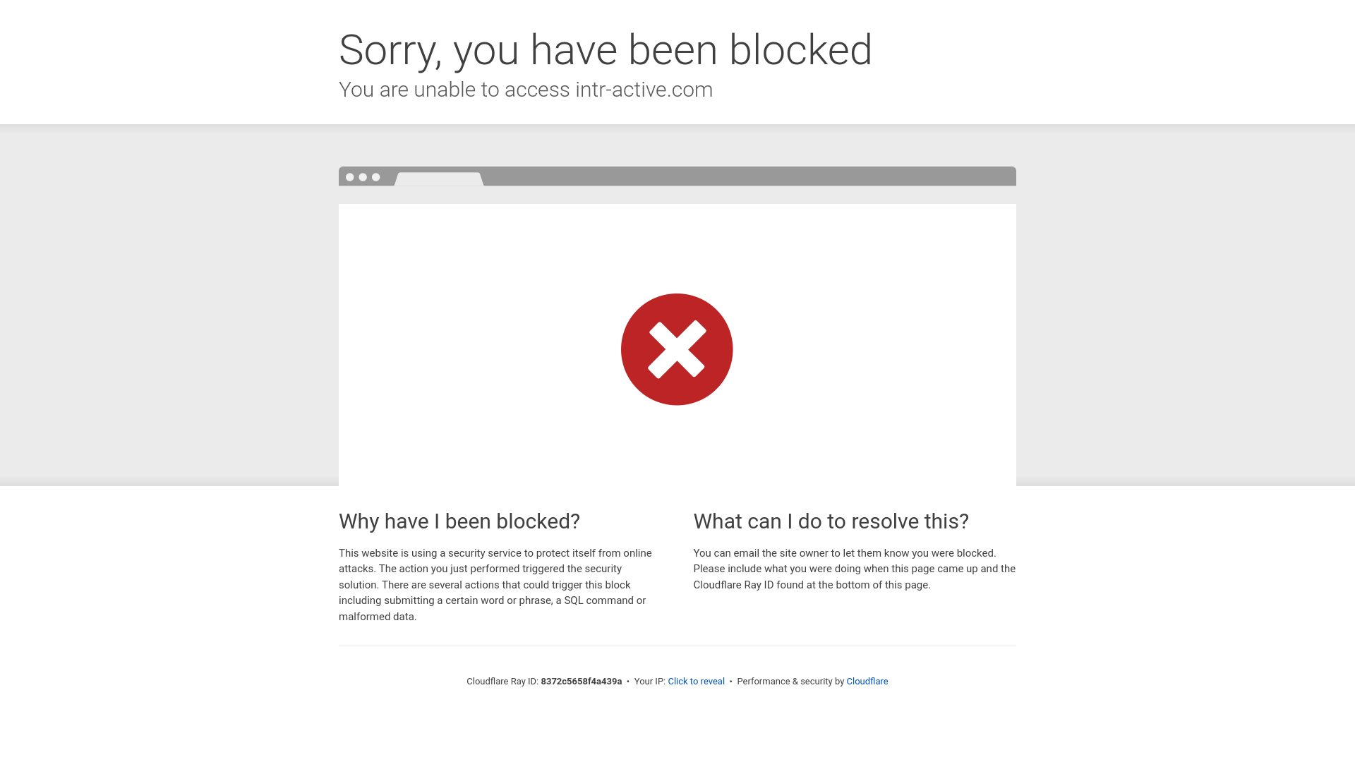 InterActive Website Screenshot