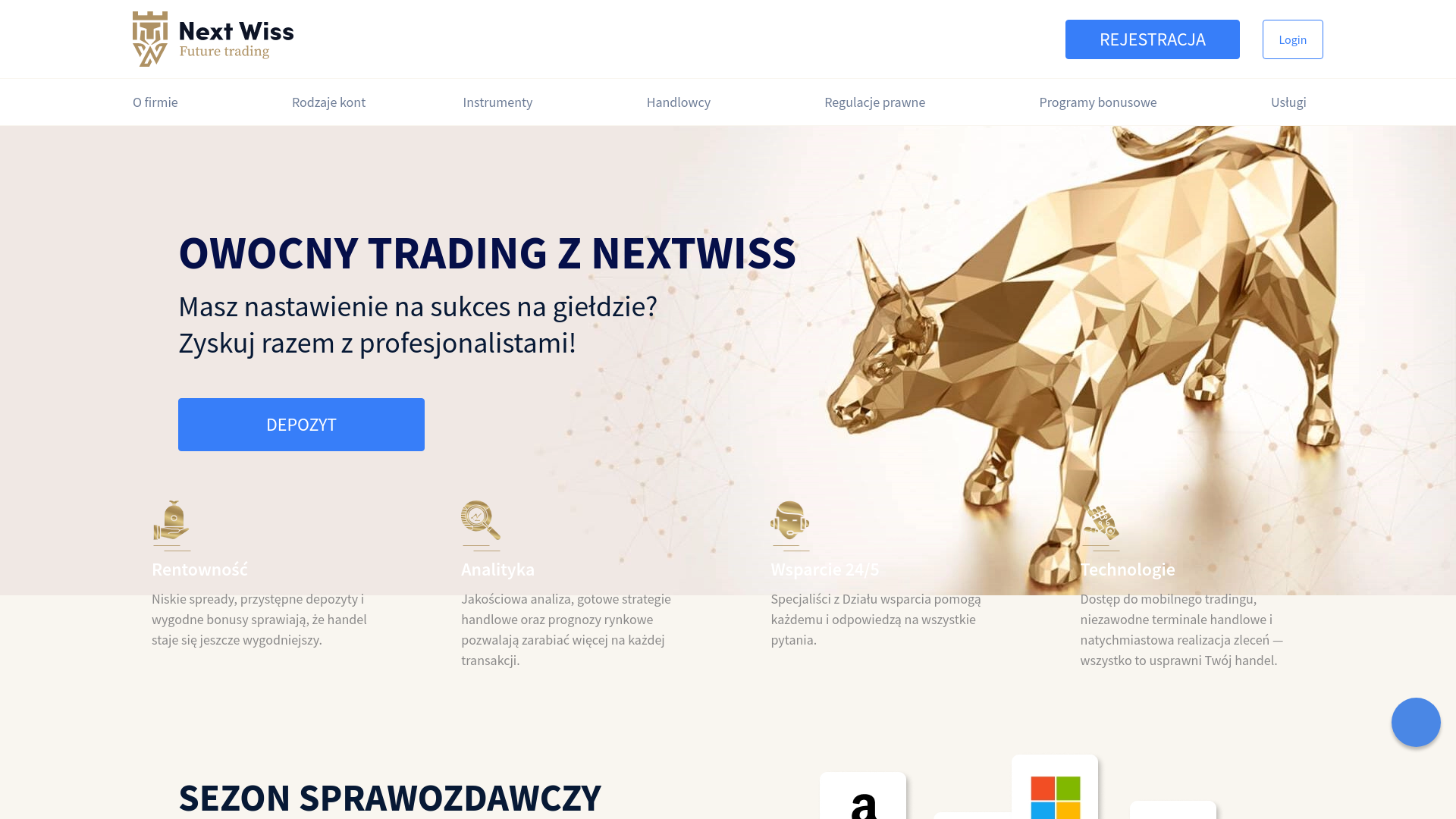 Next Wiss Website Screenshot