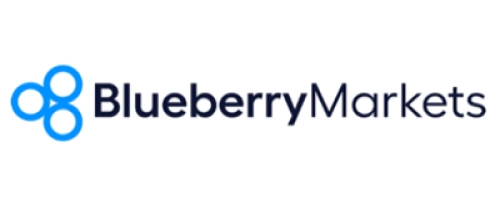 Blueberry Markets Logo