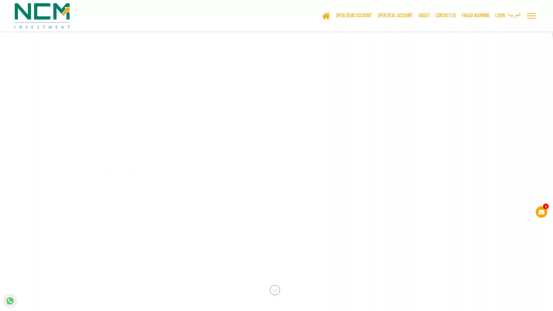 NCM Investment Website Screenshot