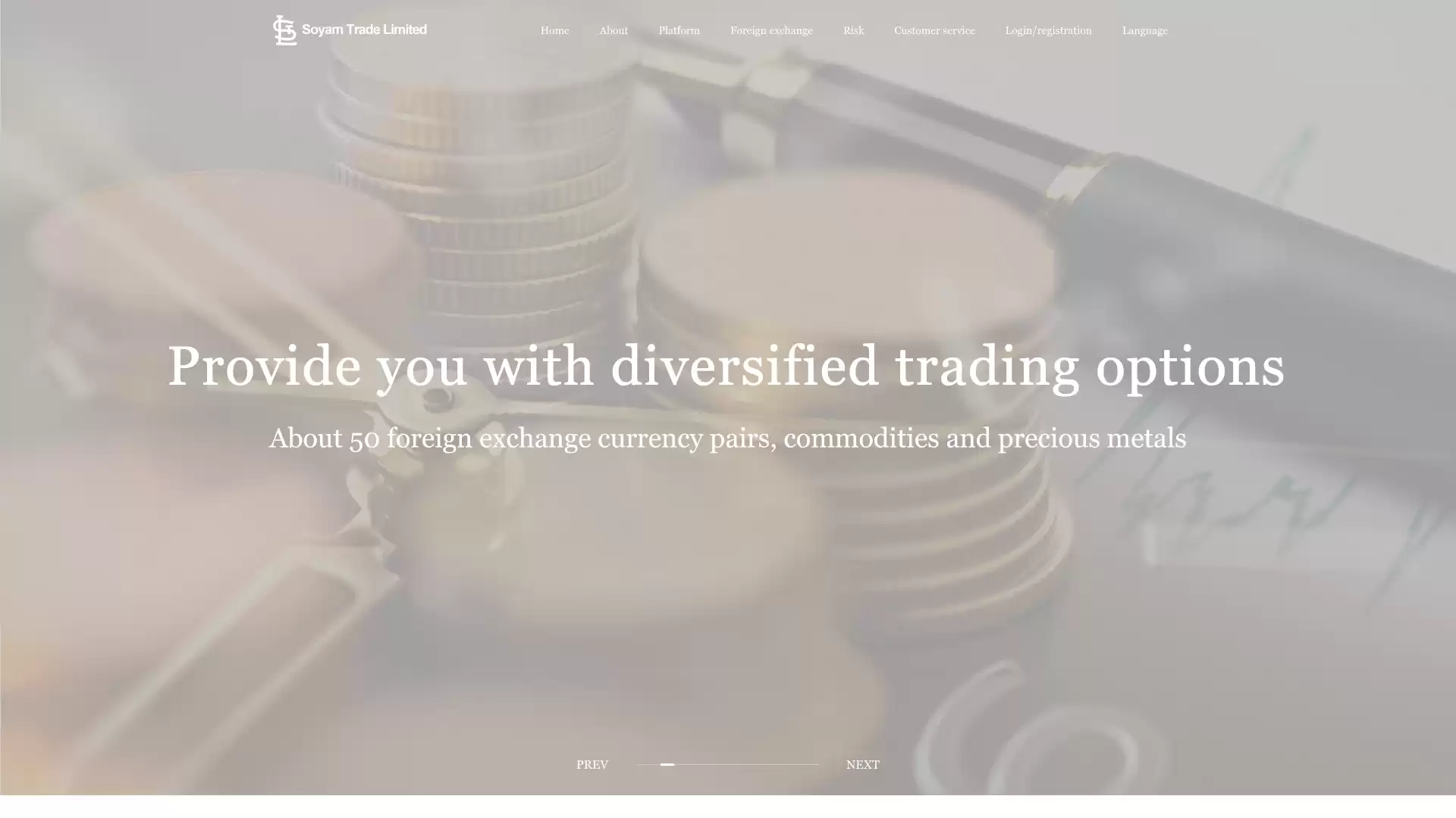 Soyam Trade Limited Website Screenshot